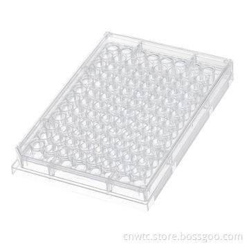 6Wells, 24Wells, 48Wells, 96Wells Cell and Tissue Culture Plates with Tc Treatment: A Comprehensive Guide